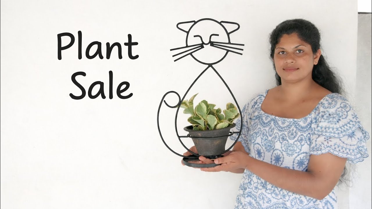 Plant sale-0701496400