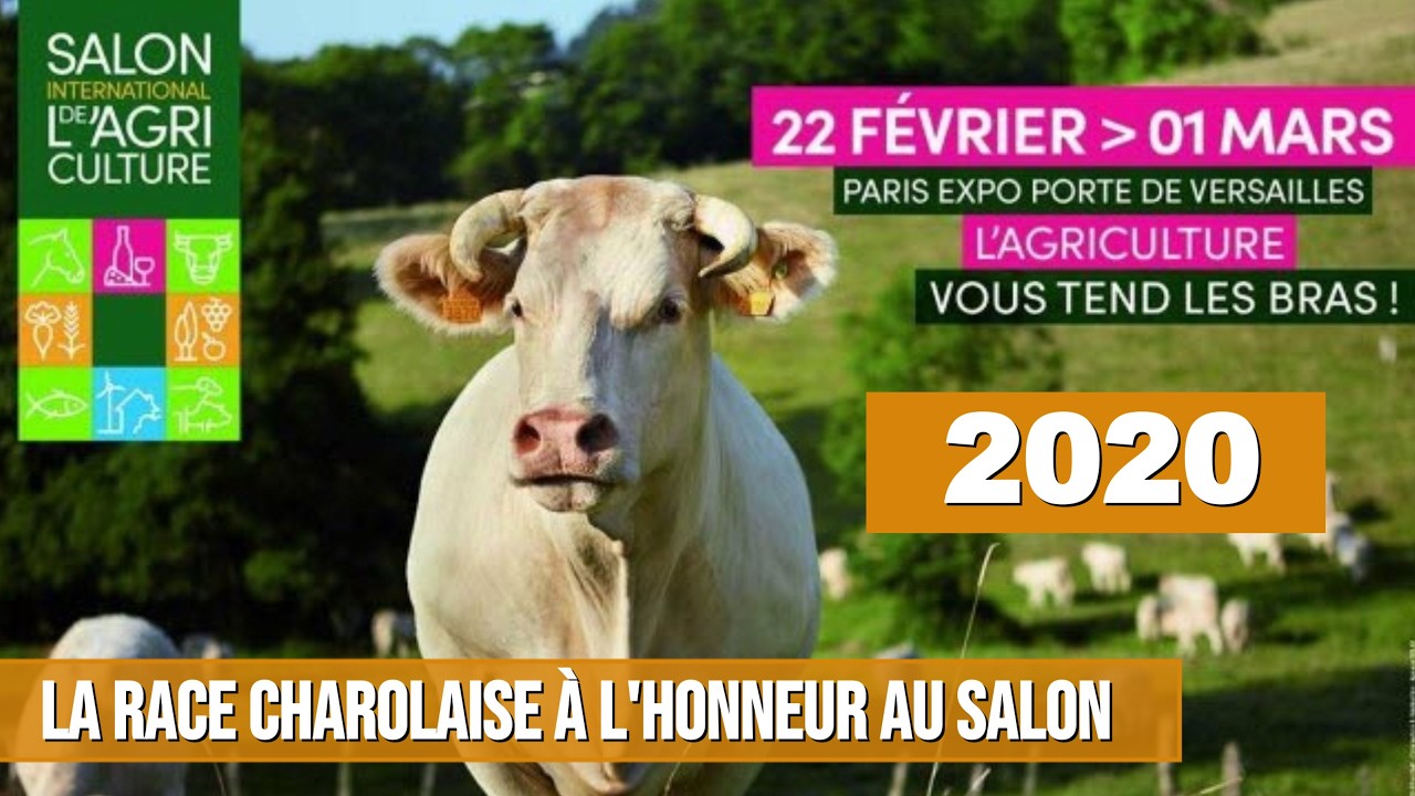 LA RACE CHAROLAISE SALON 2020