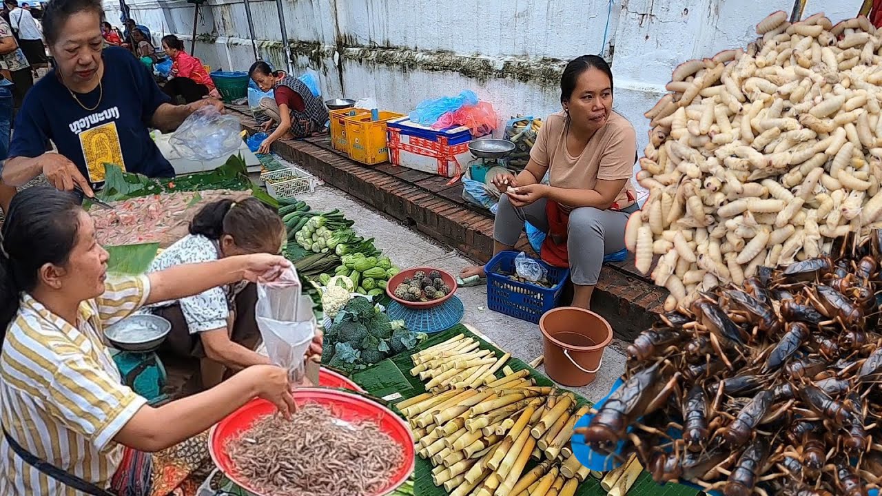ของป่าลาว ตลาดเช้าหลวงพระบาง หนอนไม้ไผ่ ต่อขุม ส้มหมู อาหารลาวแนวแซ่บ