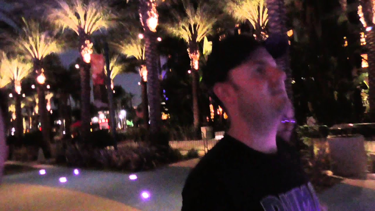 Sips' Birthday! - Yogs On Tour - Blizzcon 2014