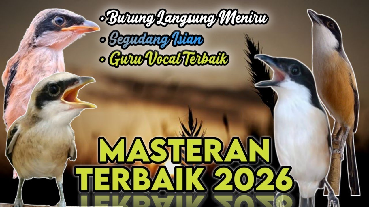 MASTERAN CENDET TERBAIK 2026, BURUNG LANGSUNG MENIRU SEGUDANG ISIAN