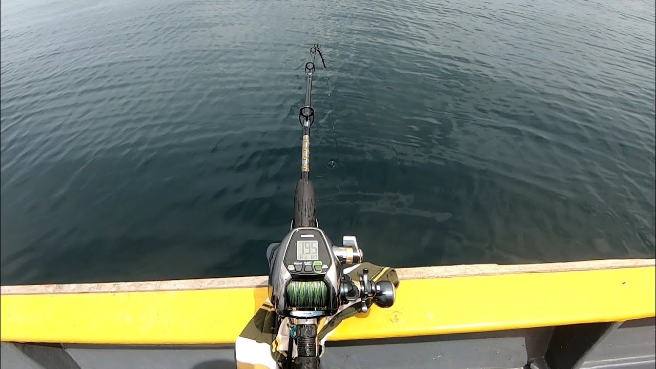 deep drop bottom fishing with electric reel || shimano beastmaster / daiwa tanakom /miya enoch