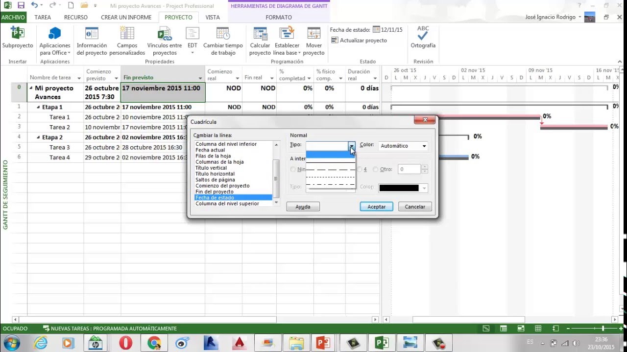 Microsoft Project:  Avance del proyecto