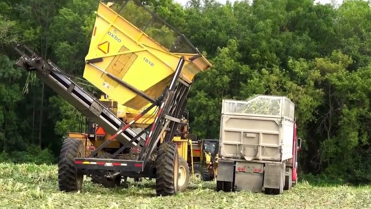 MAQUINARIA AGRÍCOLA TRABAJANDO EN CAMPO