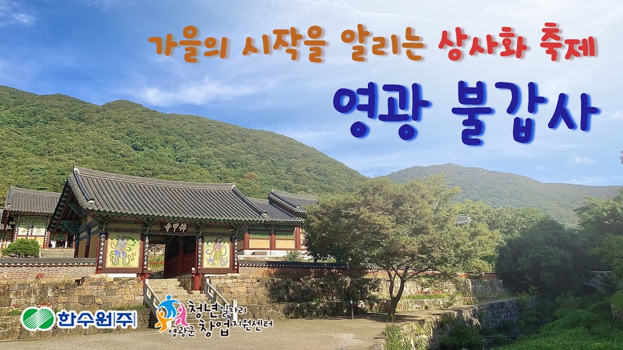 영광 불갑사 - 상사화 축제