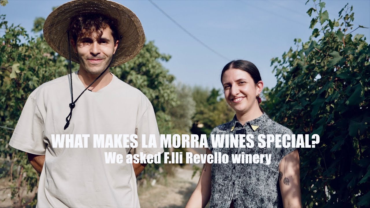 Barolo wines from La Morra @Fratelli Revello winery