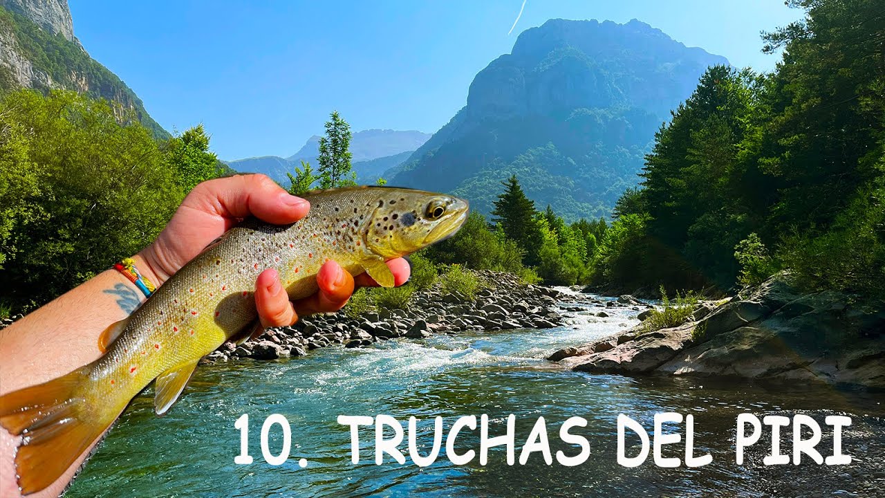 10. TRUCHAS DEL PIRI