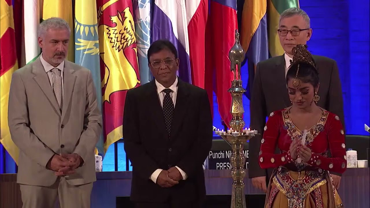 16th session of the Intergovernmental Committee - Floor -pt1