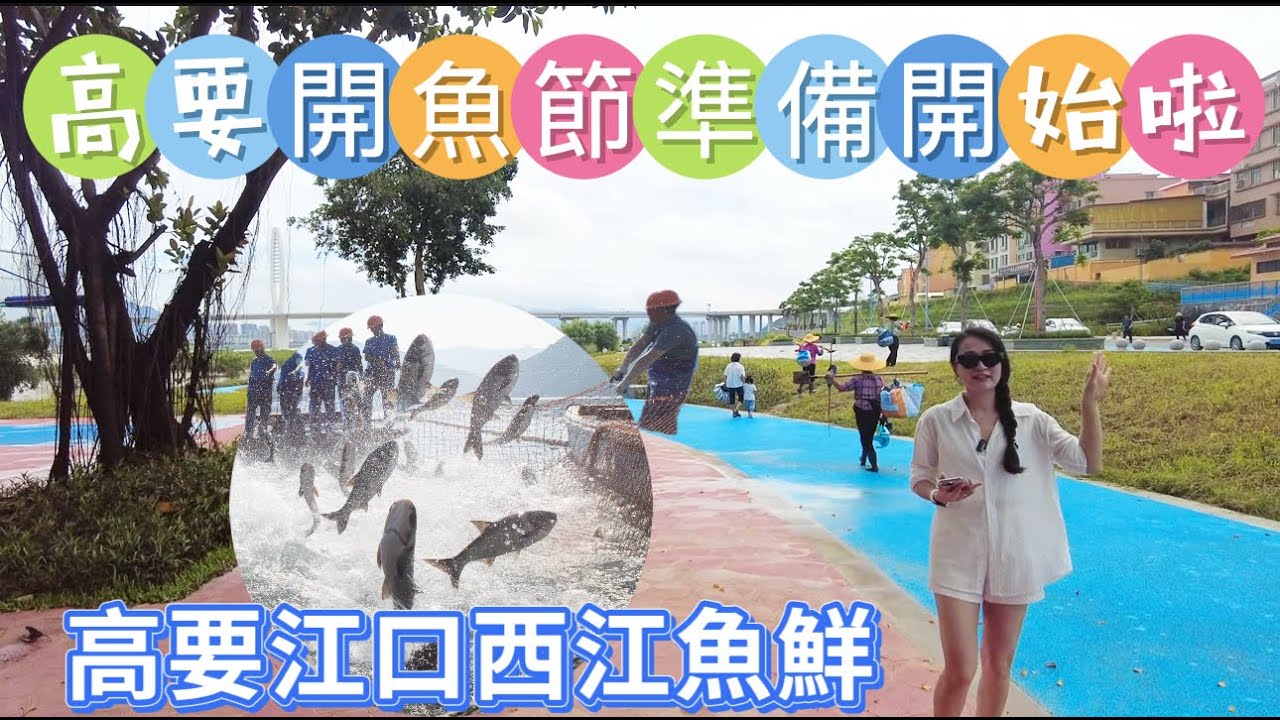 肇慶高要江口村開魚節準備開始啦|高要江口西江河鮮|肇慶吃西江河鮮最地道的地方|高要水上漁村美食~疍家糕|高要第二界河鮮美食潑水嘉年華即將舉行|肇慶高要江口村#realestate #熱門 #home