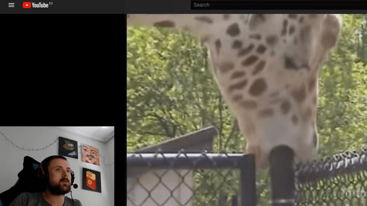 Forsen Reacts to Sseth's Heroes of Might and Magic II Review, DJ FGT's songs, FeelsWeirdMan emote