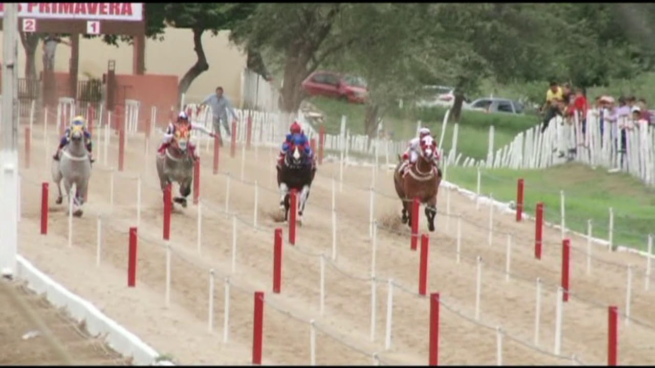 6 P&aacute;reo Final XI GP Haras Primavera Canind&eacute; CE 18 de Mar&ccedil;o de 2018