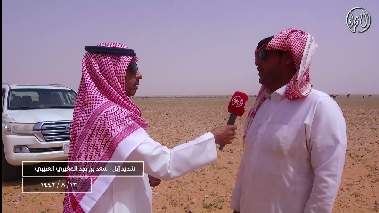 برنامج شديد اهل الابل | مع مالك الإبل/ سعد بن بجد المغيري العتيبي | 13-8-1442
