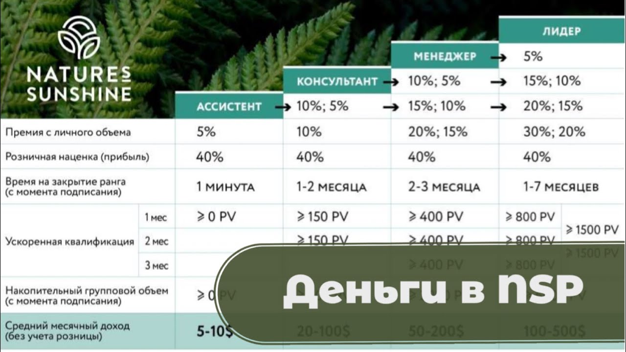 Маркетинг план NSP за 5 минут. Какой доход можно иметь и за какое время на него выйти.