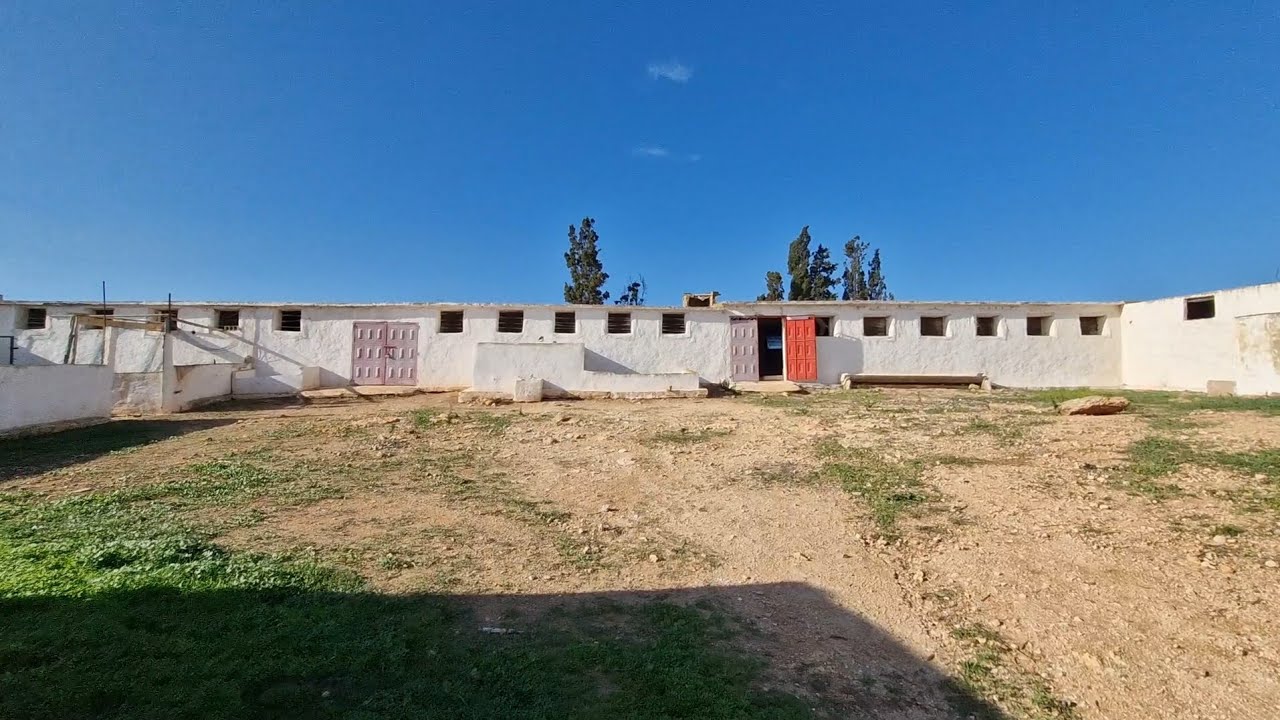 فيرمة مجهزة بالكوارا دجاج 🐓أو تربية المواشي 🐂🐑🐐والسكن وبئر وإسطابل الخيل 🐎 الجديدة
