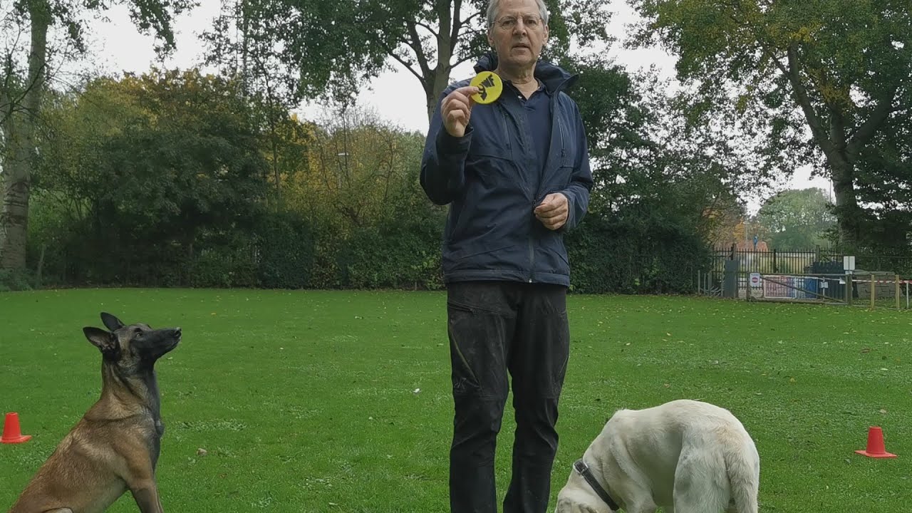 Filmpje 6: Target aanleren 1