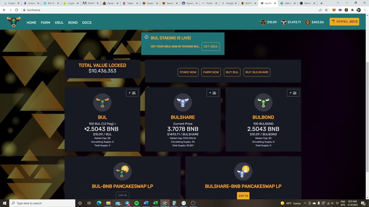 100% ROI PER DAY ON BSC