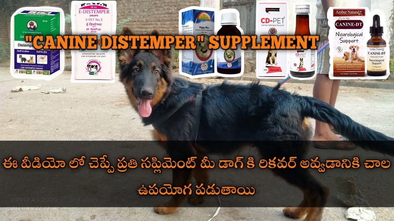 Canine distemper supplement in telugu