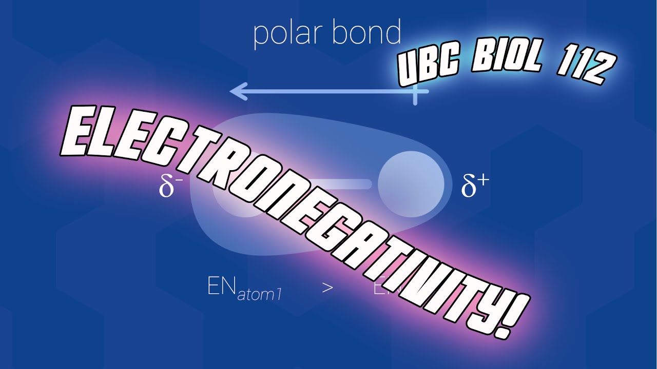 Chemistry for Biology: Electronegativity - Biol 112 at UBC