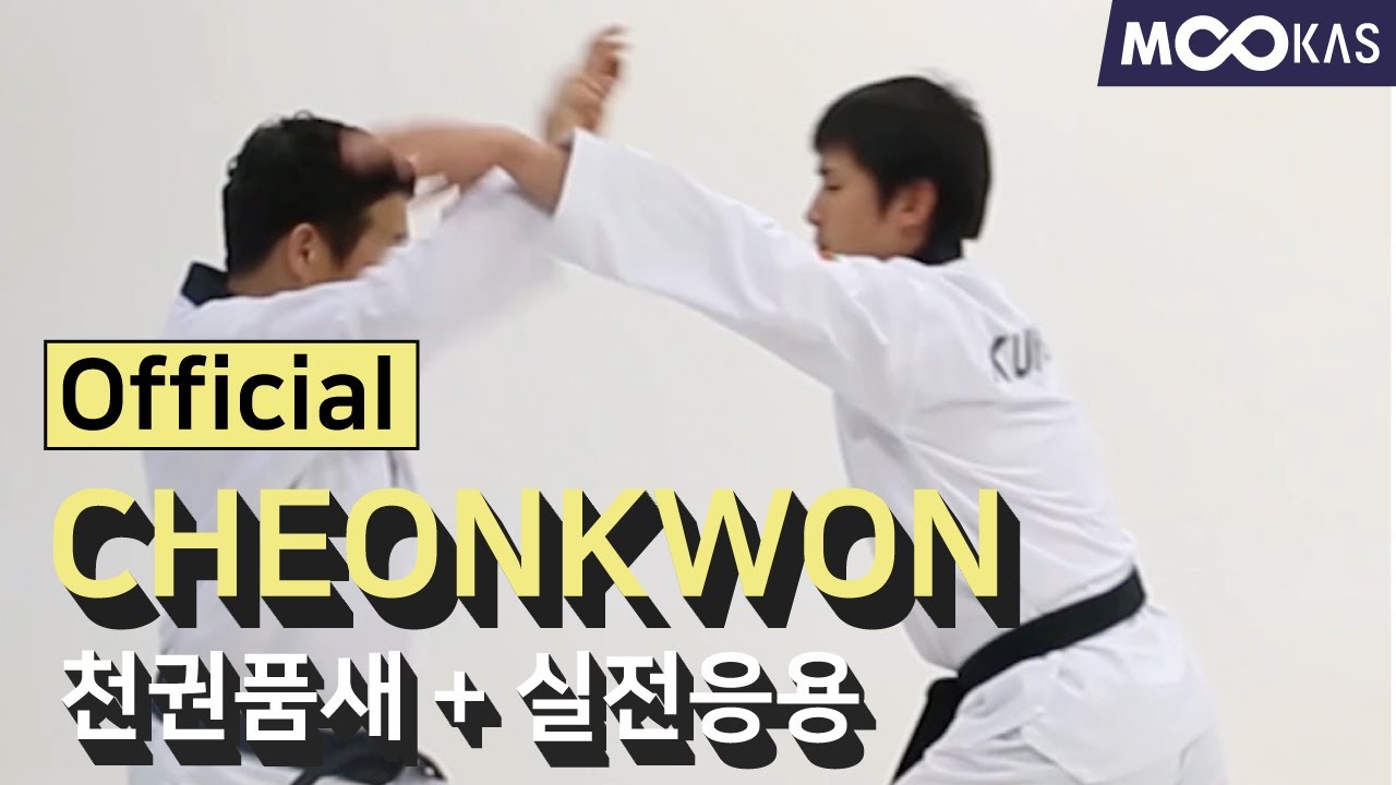 천권품새(Cheonkwon POOMSAE) / 실전응용동작 (Actual Fighting Application )