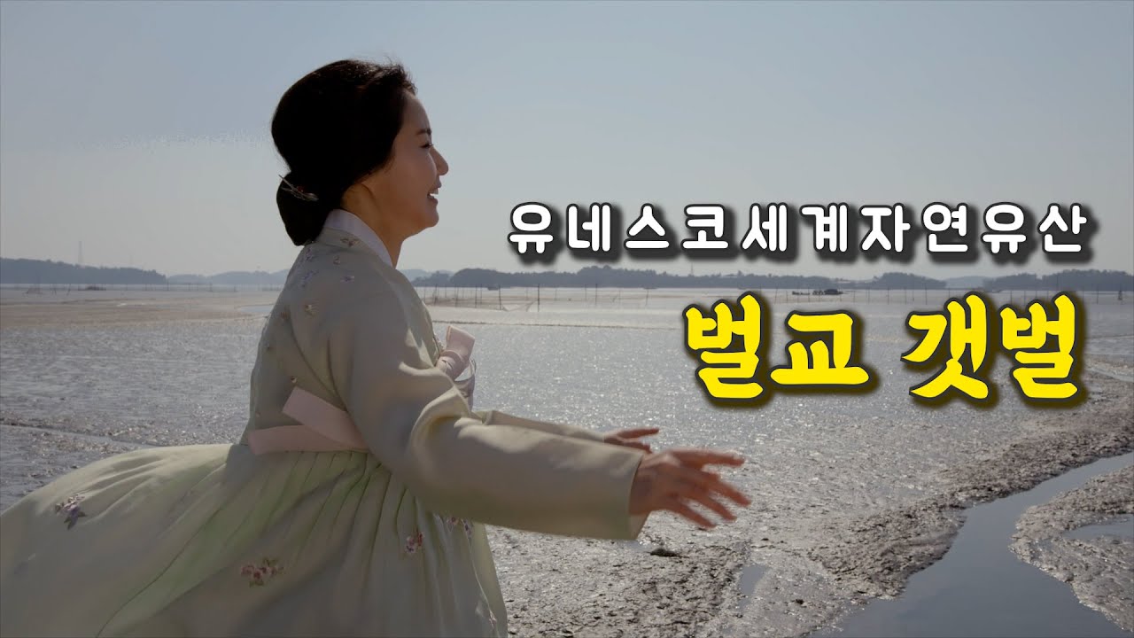 아름다운 보성 벌교갯벌