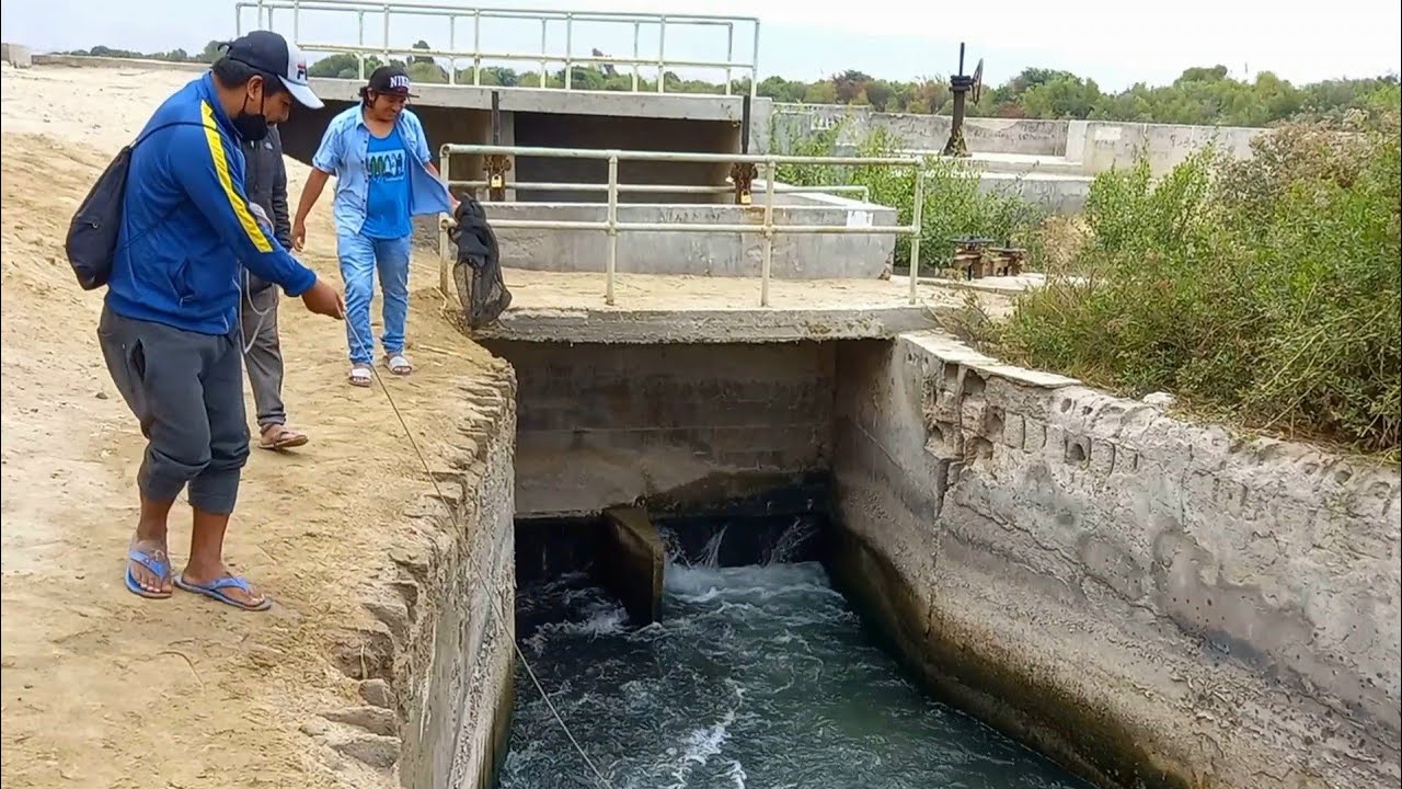¡Impresionante! Pescadores Tiran su Red y mira la Sorpresa que se llevan 