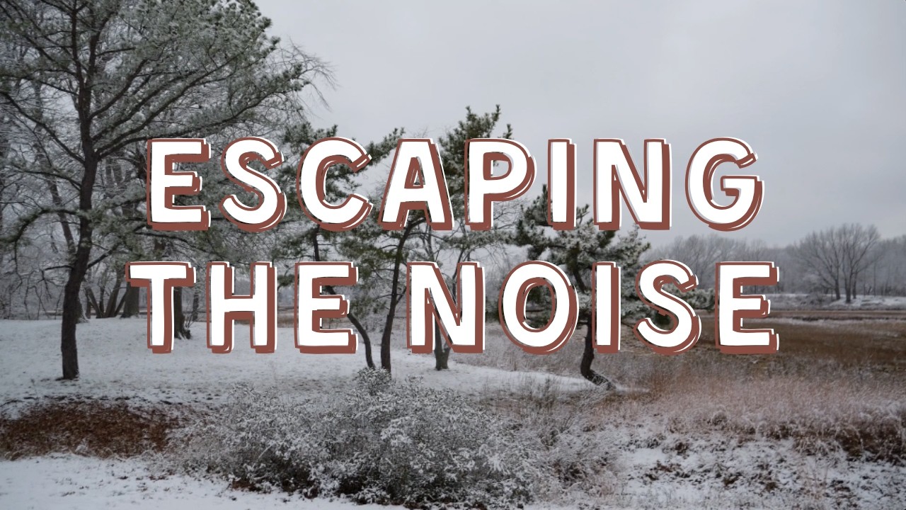 Escaping the Noise
