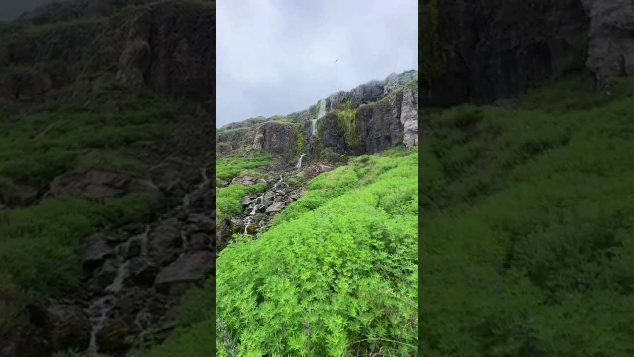 🇳🇴 Scenic Norway | Relaxing River Sounds & Majestic Norwegian Mountains