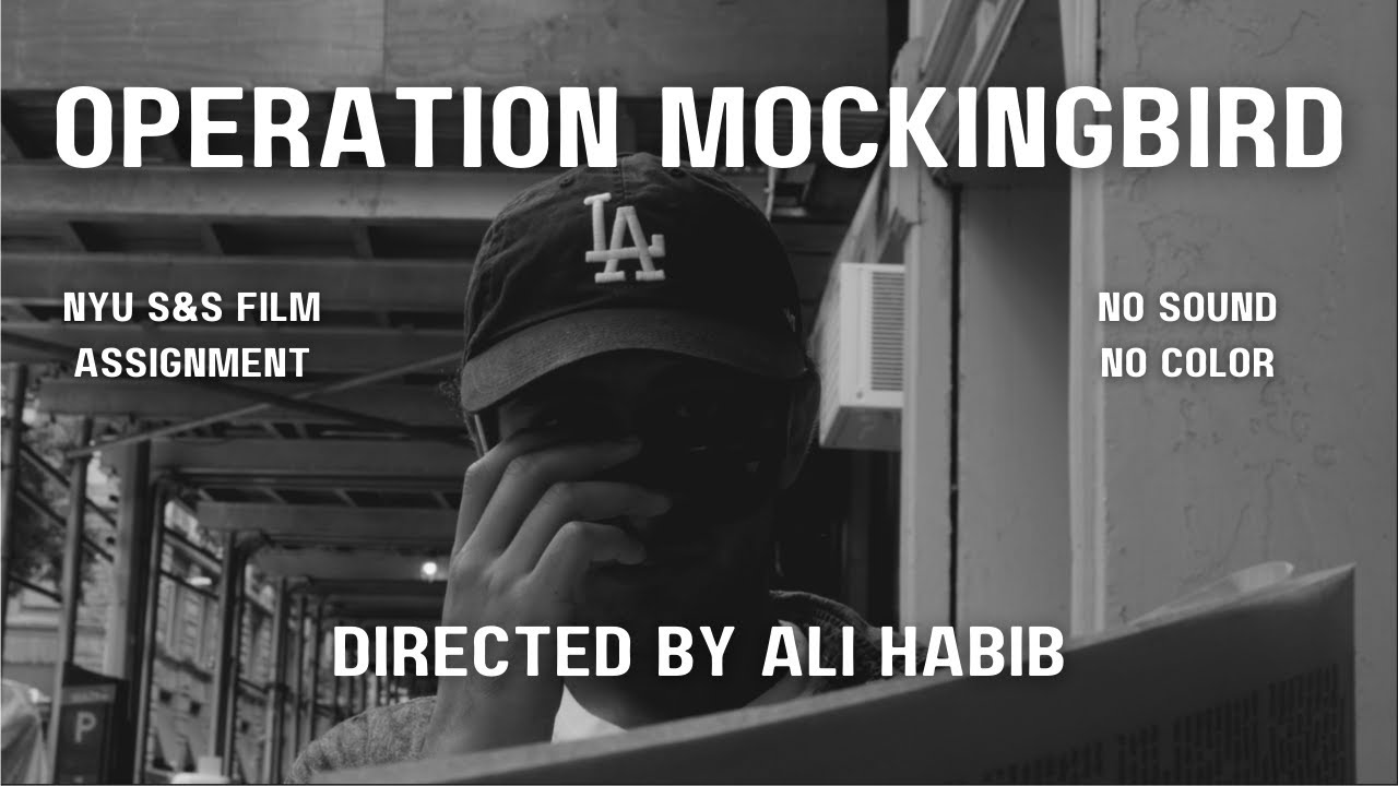 Operation Mockingbird