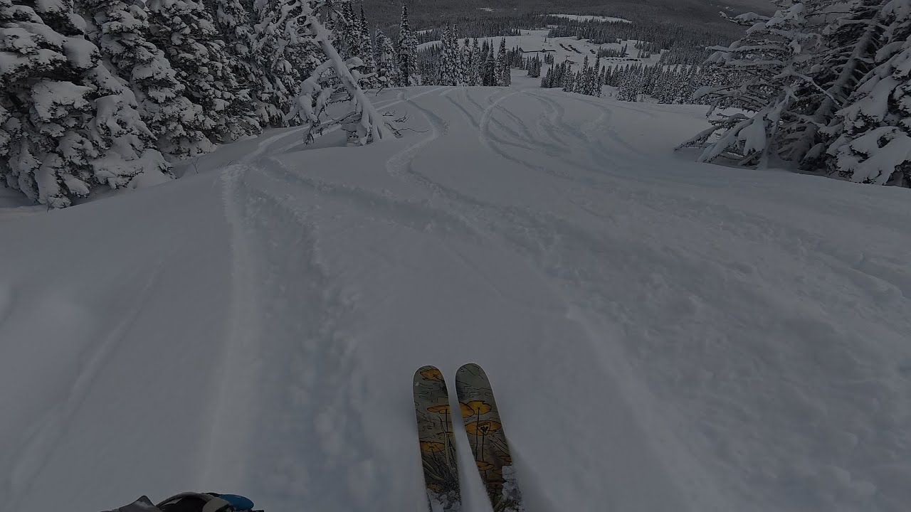 Rossignol Black Ops 118 in Deep Powder