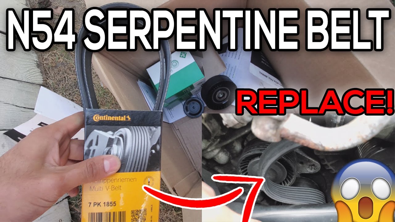 Replace Your Serpentine Belt Early ALL BMW! N54