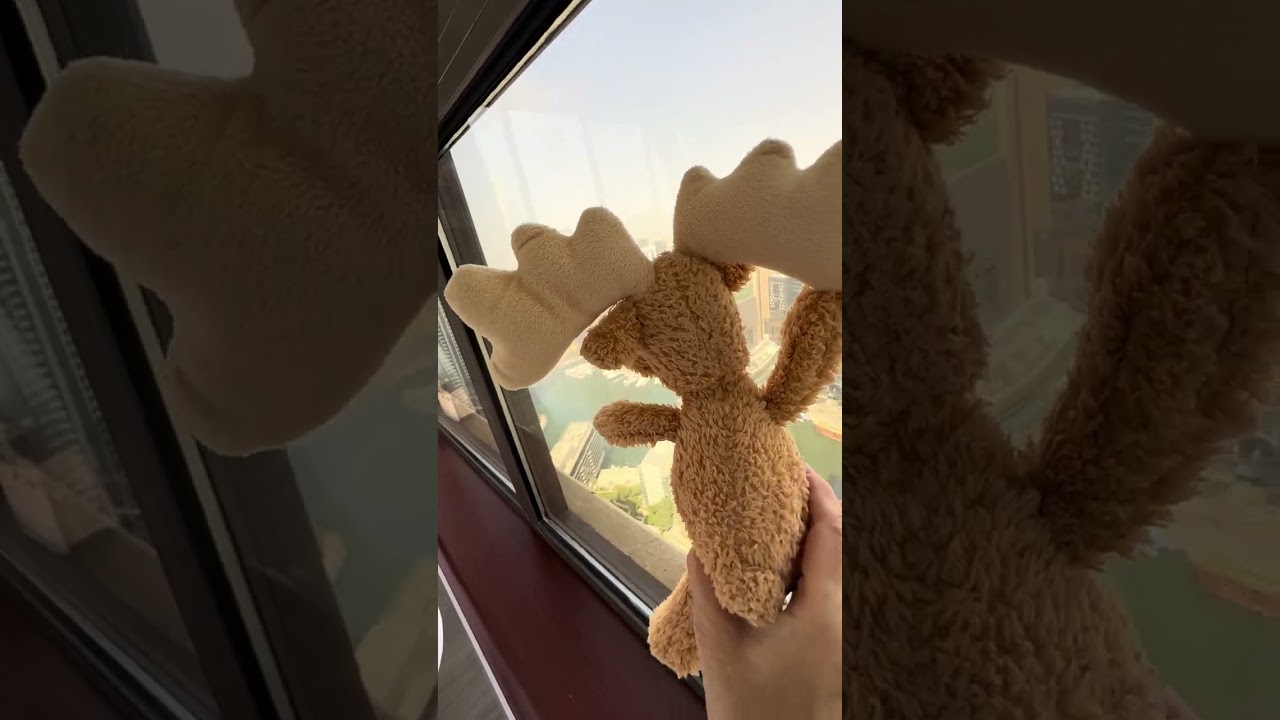 luxury trip to Dubai. 