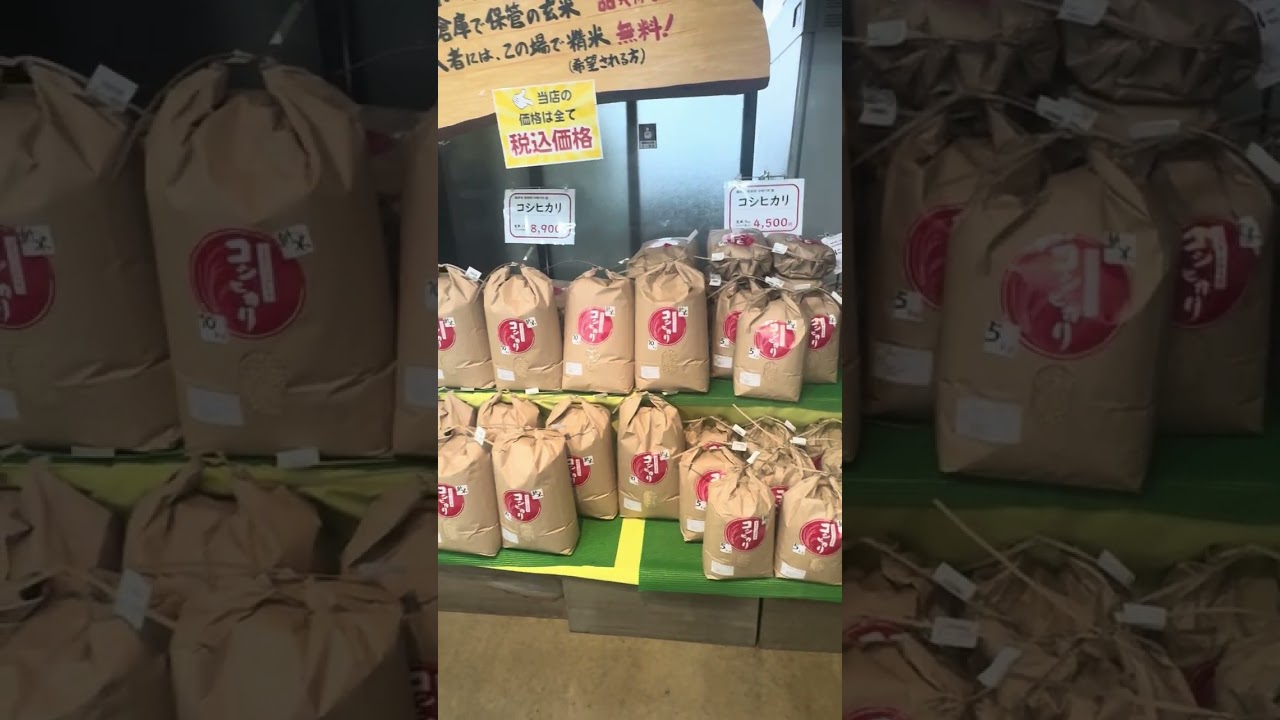 福井県道の駅さかい