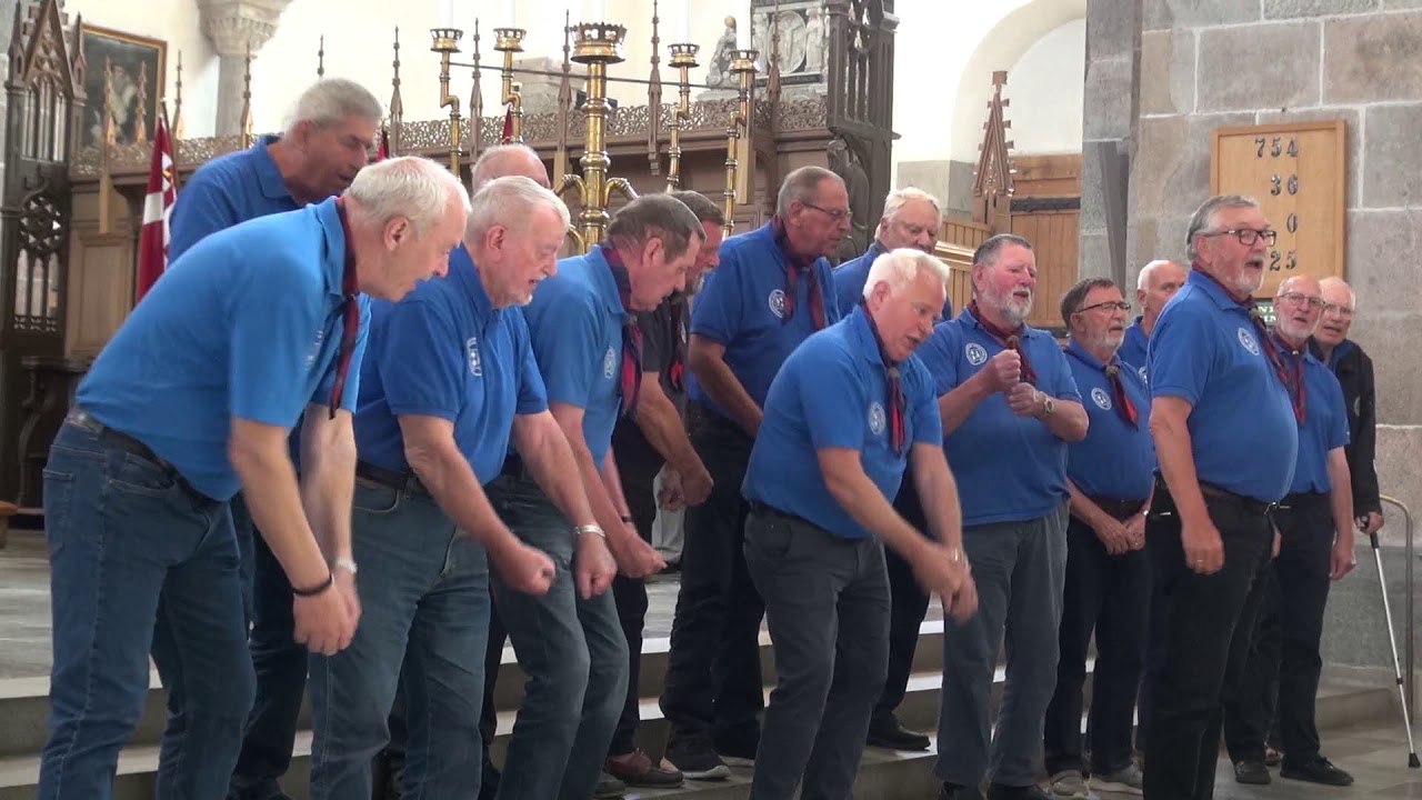 2019 - Stork Ejlænder i Ribe Domkirke 22 juni 2019