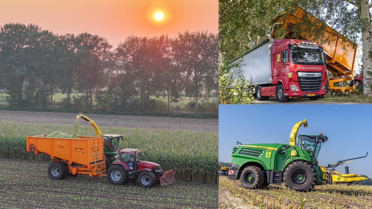 Mais hakselen en overladen | De Samenwerking BV | Vink BV | John Deere 8400i | Veenhuis Shuttle's