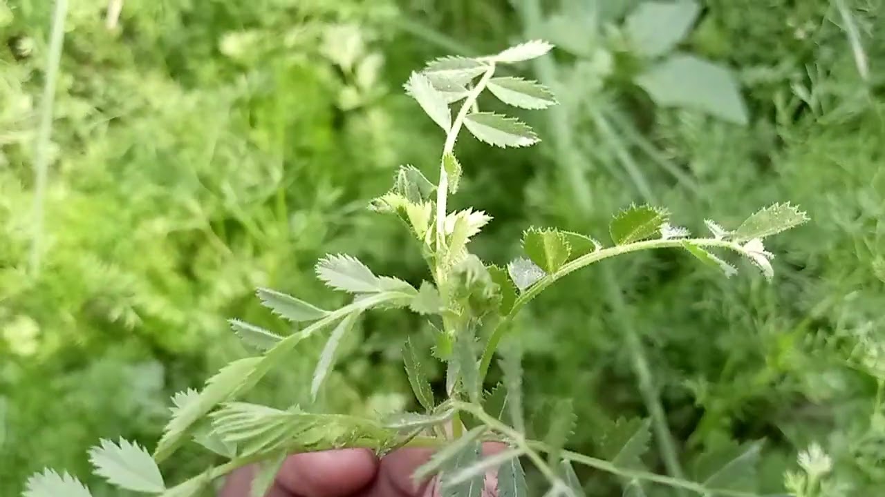 देखिये इस ब्लॉक में जाने क्या हुआ