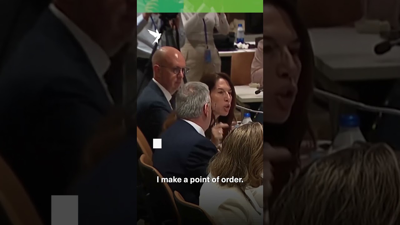 You will be quiet! Israeli envoy attacks UN Children's Representative