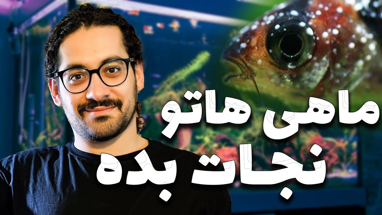 🐠🚨 نجات ماهی‌های آکواریومی از ۵ بیماری مرگبار! 🩺✨ (راهنمای کامل)