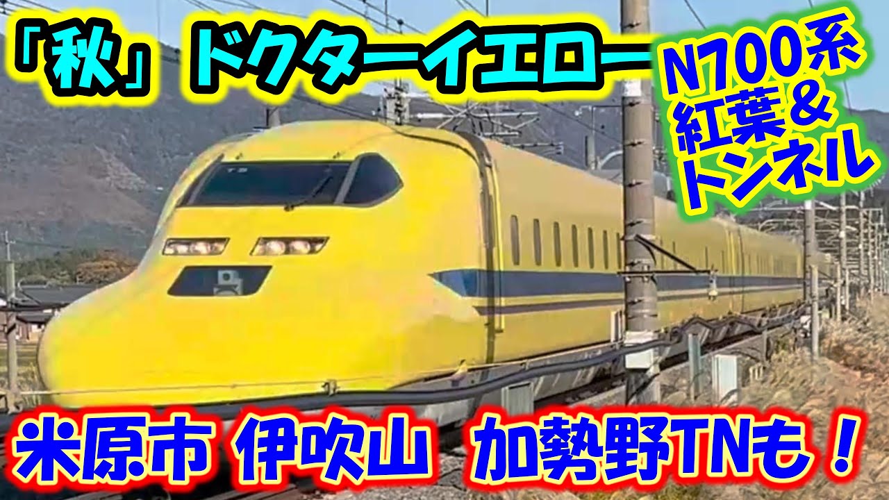 【秋】ドクターイエロー＆N700系 東海道新幹線 米原 伊吹山 加勢野トンネル 紅葉　the Shinkansen bullet train High-speed express