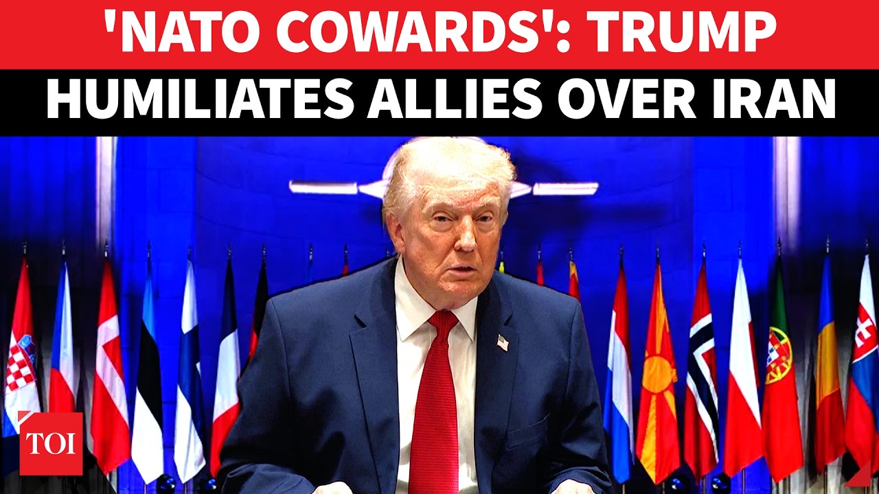 &bdquo;NATO Paper Tiger&rdquo;: Trump ostro krytykuje sojusznik&oacute;w USA za odmowę pomocy w wojnie z Iranem | OB...