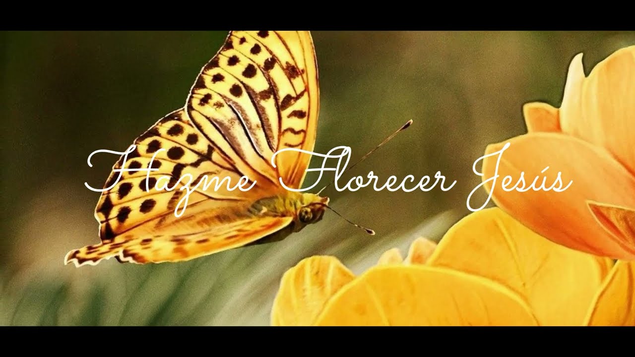 HAZME FLORECER JESUS  PISTA (Ruth Ramirez)