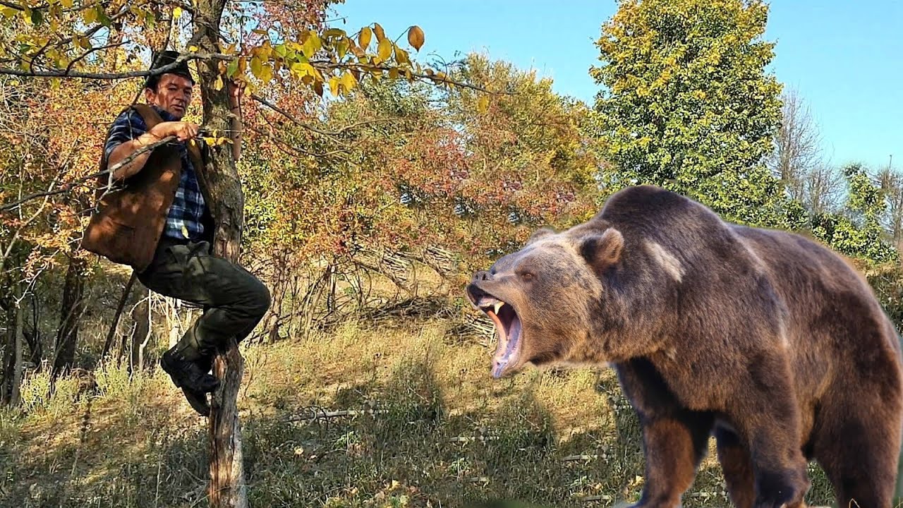 A VAZUT MOARTEA CU OCHII! ATACAT DE O URSOAICA IMENSA,CIOBANUL MARIN CHIOJDEANU,SALVAT DE CAINI.