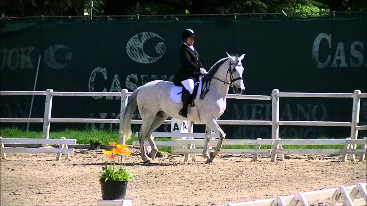 Dressage E300