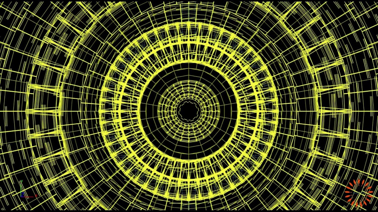 Orthographic Projection Of The CMS Detector