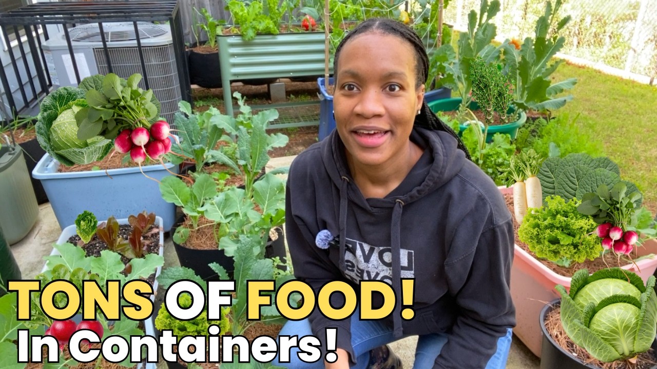 Секрет правильного выращивания растений в контейнерах: выращивайте ОГРОМНОЕ количество еды на неб...