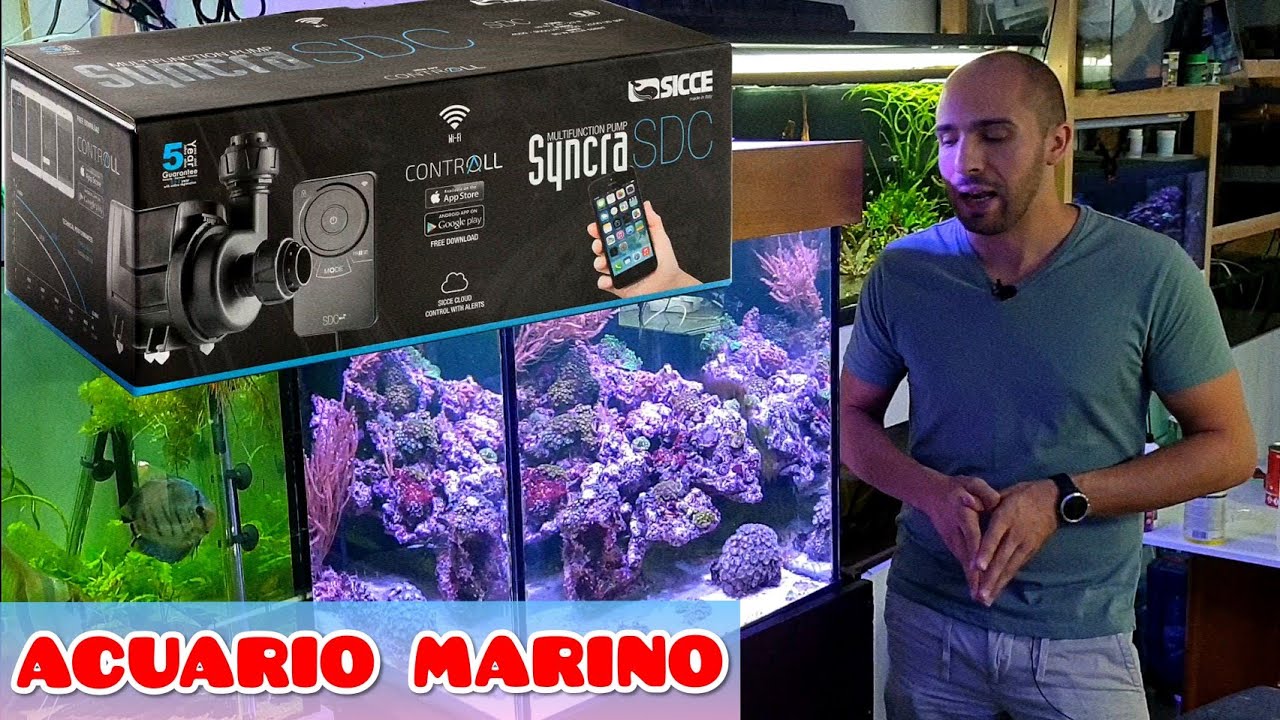 ACUARIO MARINO DESDE 