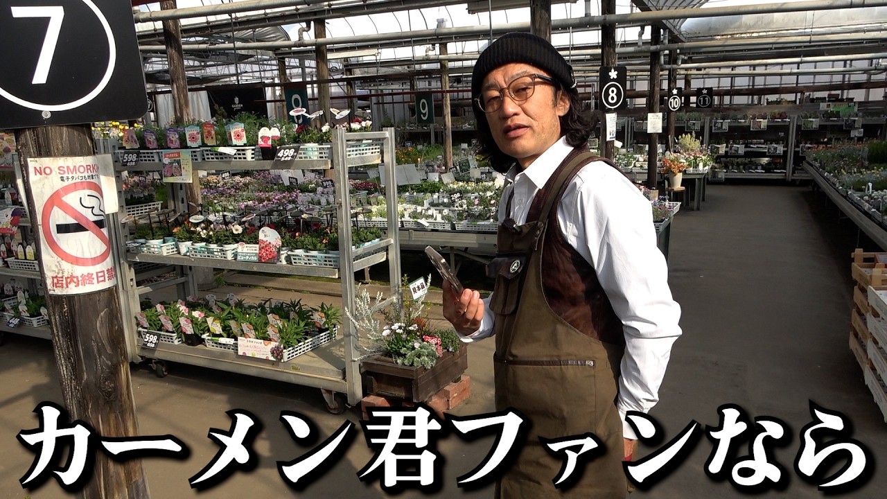 最近実はこうなってたの気づきました？【カーメン君】【園芸】【ガーデニング】