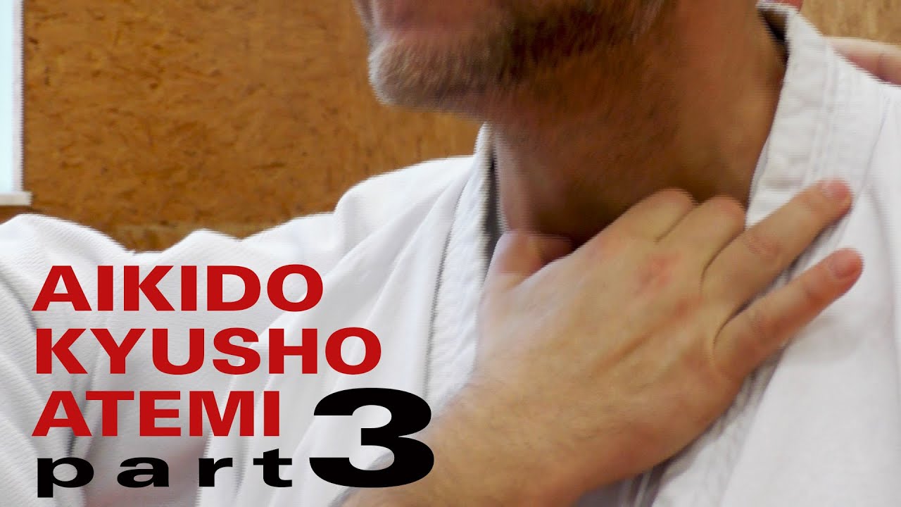 ARMHEBEL und WÜRGE mit NERVENDRUCKPUNKTEN  - Aikido, Atemi, Kyusho (Dimmak) Elemente Teil 3
