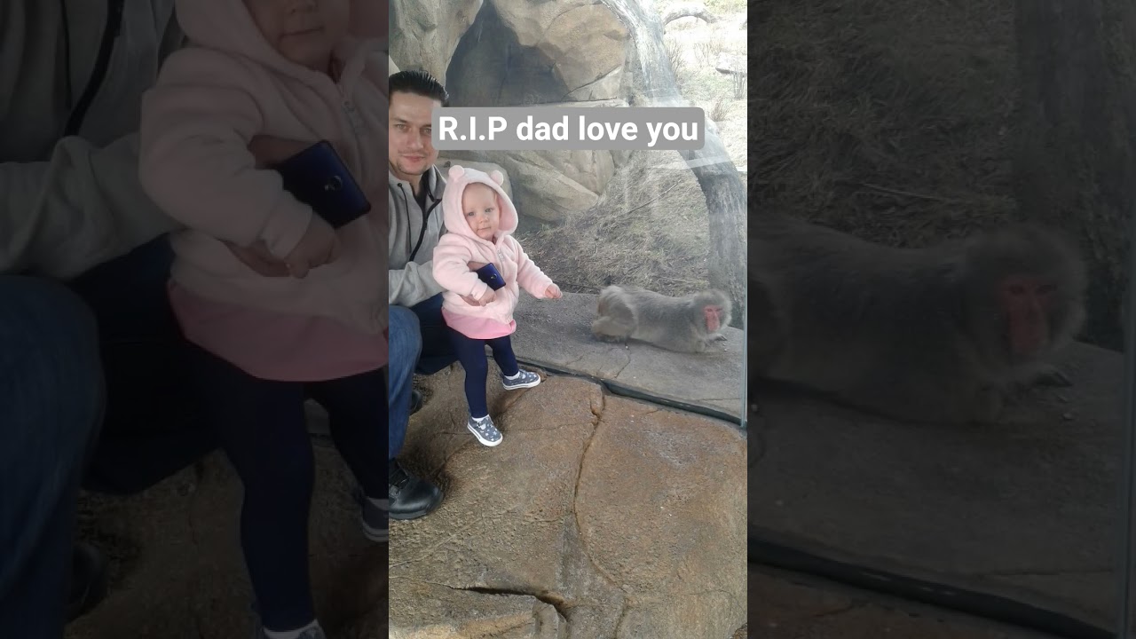 Rest in Peace dad #sad #death #rip #bye #dad