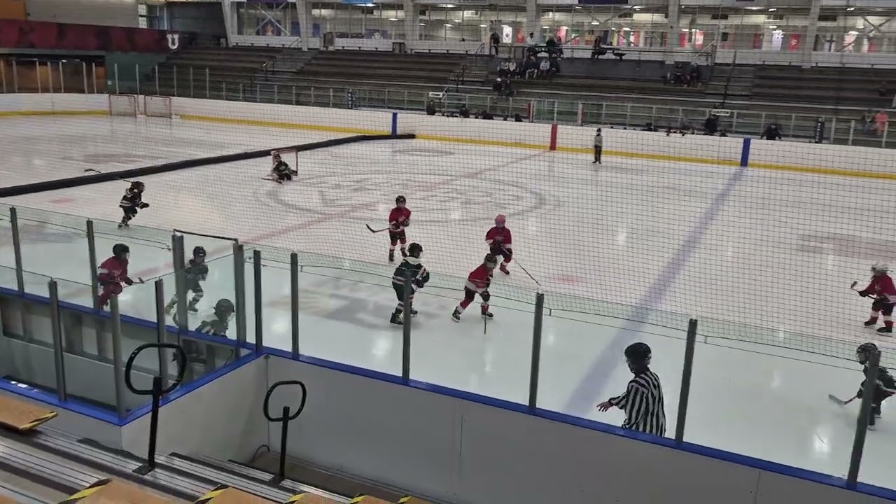 Mites Redwings vs Wild 2/3
