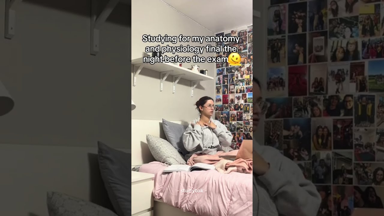 stressed bout upcoming exams? watch this! 📚🖊️☕ Tik Tok Compilation #studymotivation #toxicmotivation